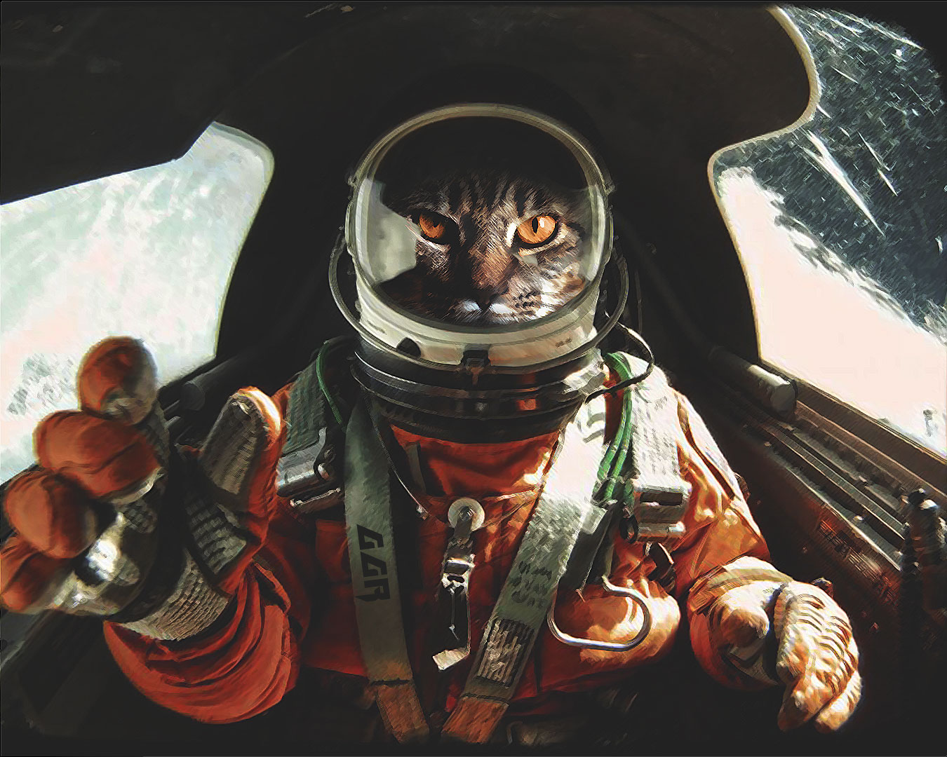 Gato Volador
